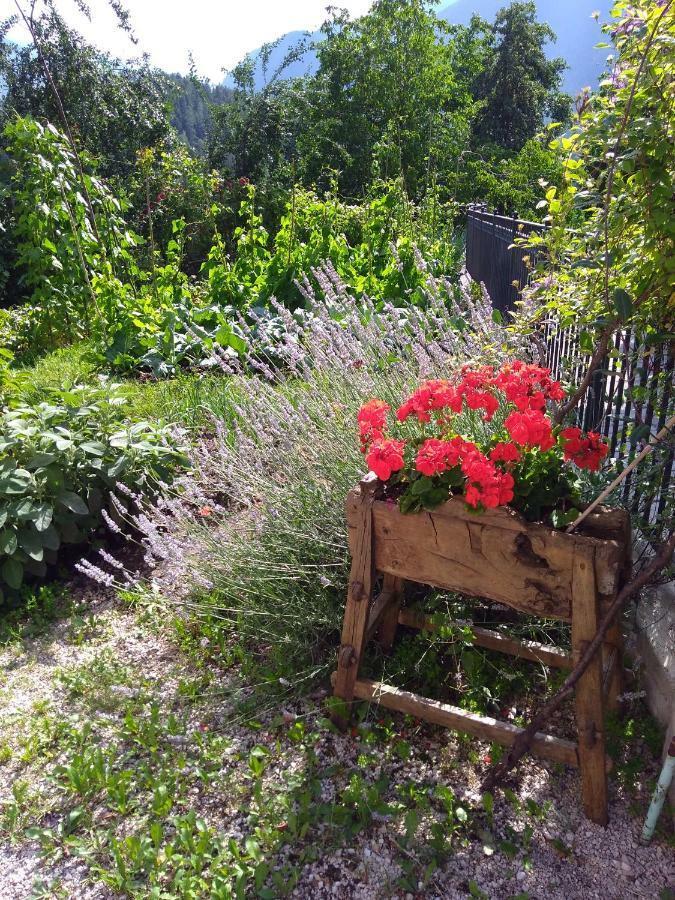 Casa Ida - Clpat 22253 Villa Tregiovo Dış mekan fotoğraf